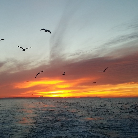 Meet your Posher, Mikey - Picture 14 of 16